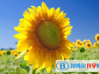 2021年唐山中考没有考上怎么办