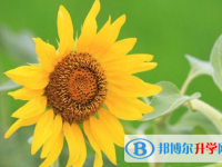 2021年唐山中考焦虑怎么办