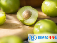 2021年唐山中考后可以上什么学校