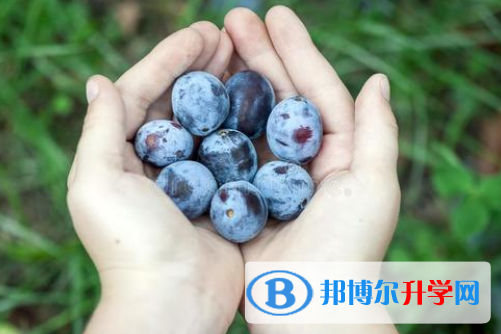 2021年唐山这次中考多久结束