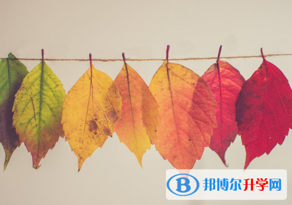 2021年唐山如果中考没考上读什么好