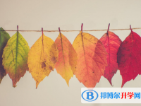 2021年唐山如果中考没考上读什么好