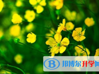 2021年秦皇岛中考网络应用平台