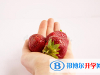 2021年唐山好多号中考