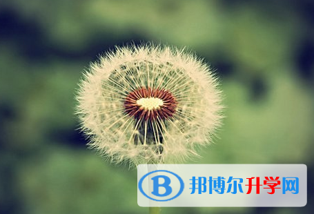 2021年秦皇岛中考政策
