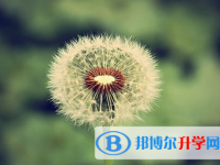 2021年秦皇岛中考政策
