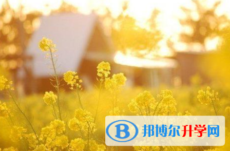 2021年秦皇岛中考招办电话