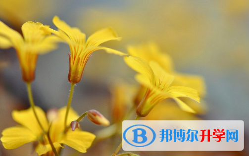 2021年秦皇岛中考重点线预测