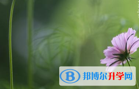 2021年秦皇岛中考志愿