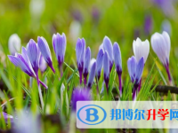 2021年唐山查询中考成绩的热线电话