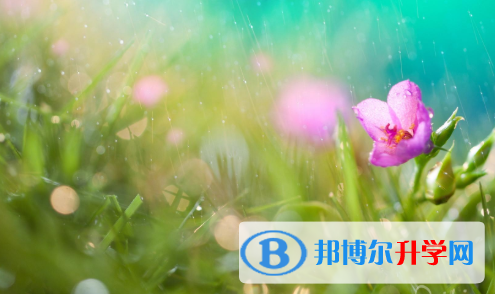 2021年唐山中考志愿填报