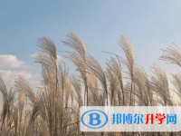 2021年唐山外地生中考怎没成绩