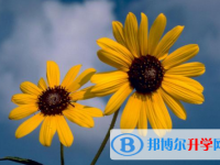 2021年唐山历年中考重点