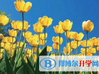 2021年唐山中考报考攻略