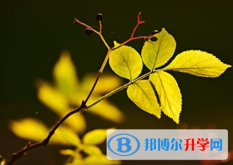 2021年唐山中考报名号