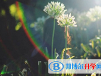 2021年邯郸中考建档线