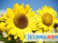 2021年邯郸中考考试技巧