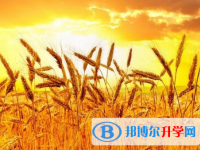 2021年邯郸中考可以报哪些学校