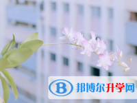 2021年邯郸中考难还是不难