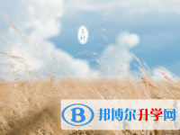 2021年邯郸中考派的学校有哪些学校