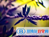 2021年邯郸中考人数