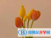 2021年邯郸中考如何