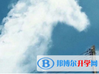 2021年邯郸中考上的学校
