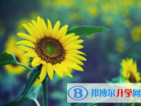 2021年邯郸中考生落榜后可不可以选择复读