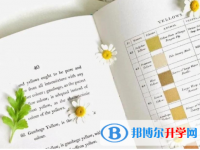 邯郸2021年中考试卷难吗