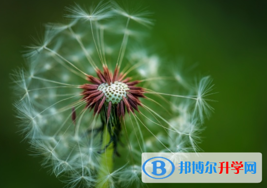 邯郸2021年中考阅卷安排