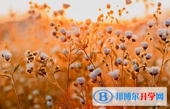 邯郸2021年中考怎样调剂