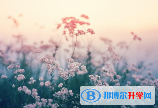 邯郸2021年中考招生办