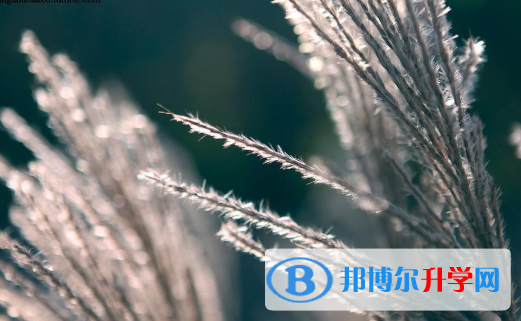 邯郸2021年中考志愿怎么填报