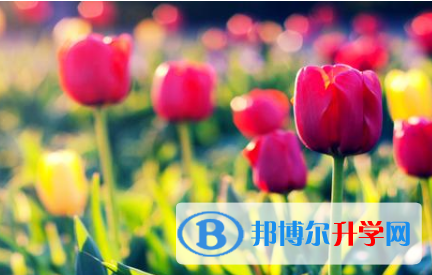 邯郸2021年中考自主招生办法