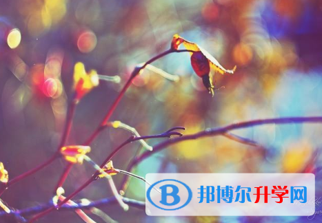 邯郸2021年中考自主招生报名有哪些学校