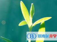 保定2021年中考报名服务平台