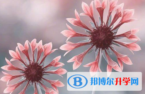 保定2021年中考考试时间