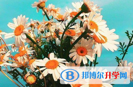 保定2021年中考考试说明