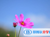 保定2021年中考生活注意事项