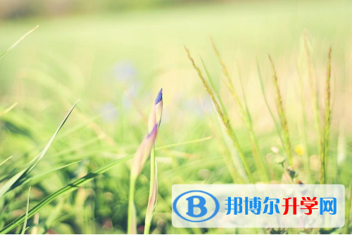 保定2021年中考准考证