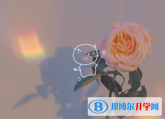 保定2021年中考没有考上怎么办