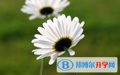 保定2021年还有一天中考怎么办