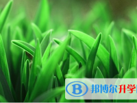 保定2021年孩子中考没考好如何安慰