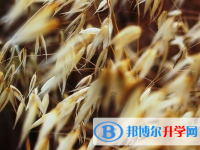 保定2021年中考查询成绩网址