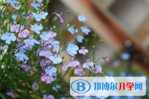 保定2021年考起重高的人数
