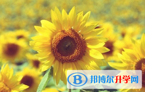 保定2021年历年中考重点
