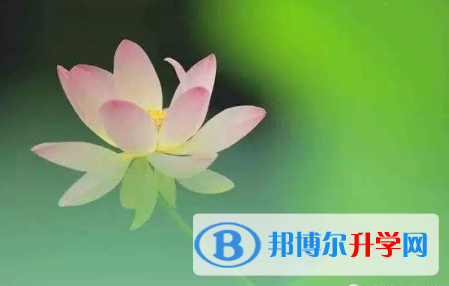 保定2021年中考录取结果查询