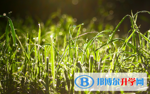 石家庄2021年中考时间表