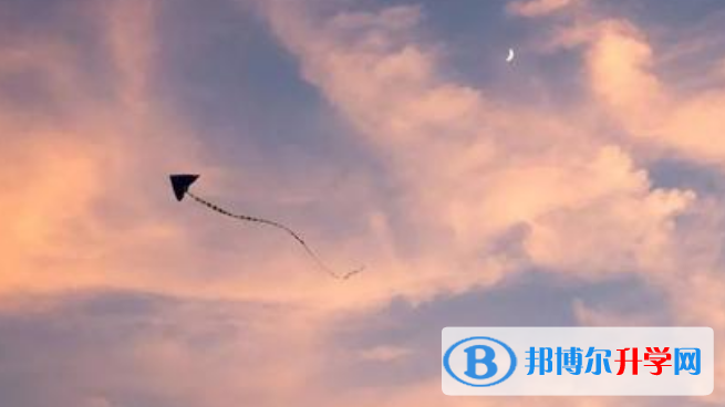 石家庄2021年中考网报