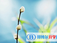 保定2021年中考怎样调剂